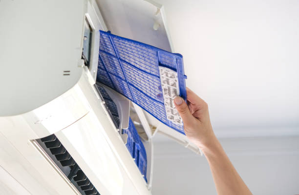 Best Air Duct Sanitizing Services  in Pinconning, MI